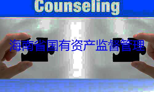 海南省国有查调查资产监督管理委员会党委副书记王有福接受审